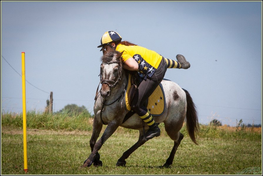 Mounted Games 162